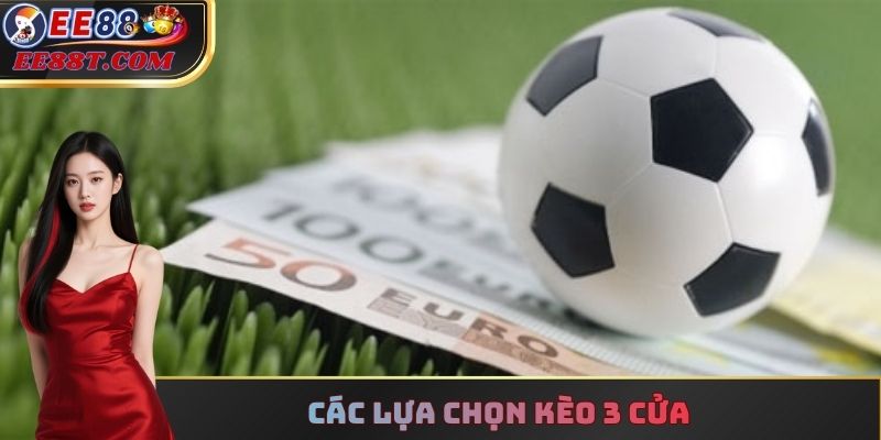 Các lựa chọn kèo 3 cửa
