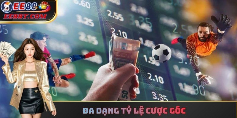 Đa dạng tỷ lệ cược góc