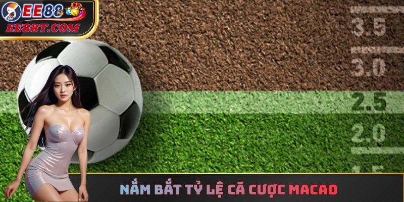 Nắm bắt tỷ lệ cá cược Macao