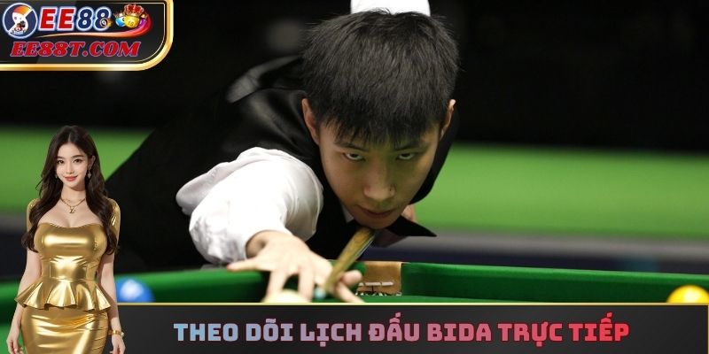 Theo dõi lịch đấu bida trực tiếp