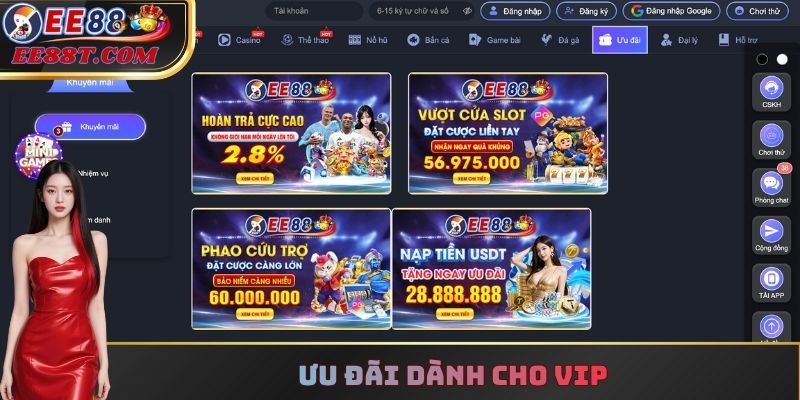 Ưu đãi dành cho VIP